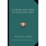 Flowers And Trees Of Palestine (1907)