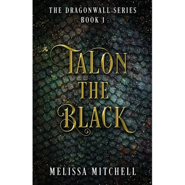 Talon the Black: A Slow Burn Fantasy Series