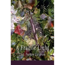 A Fragile Light