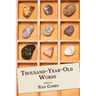 Thousand-Year-Old Words