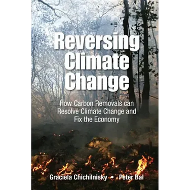 Reversing Climate Change: How Carbon Removals Can Resolve Climate Change and Fix the Economy