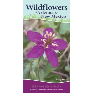 Wildflowers of Arizona & New Mexico: Your Way to Easily Identify Wildflowers