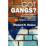Got Gangs? Practical Guidance for Parents/Teachers on a Mission for Gang Prevention/Intervention