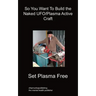So You Want To Build the Naked UFO/Plasma Active Craft