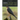 Birds From The Lockdown Hide