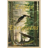 Eagles and Evergreens: A Rural Maine Childhood