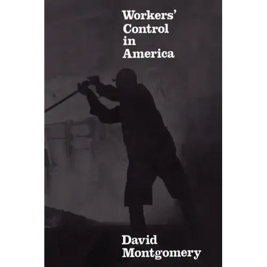 Workers' Control in America: Studies in the History of Work, Technology, and Labor Struggles