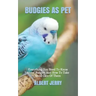 Budgies as Pet: Everything You Need To Know About Budgies And How To Take Good Care Of Them