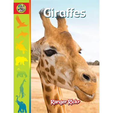 Giraffes