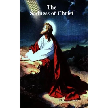 The Sadness of Christ