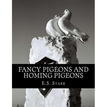 Fancy Pigeons and Homing Pigeons