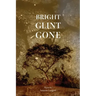 Bright Glint Gone