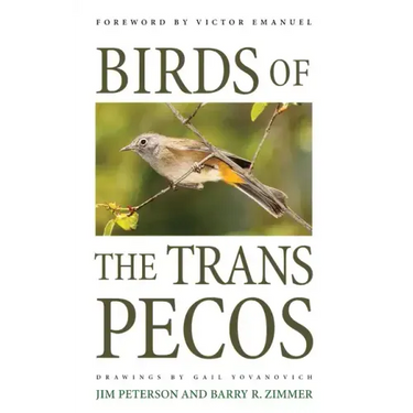 Birds of the Trans-Pecos