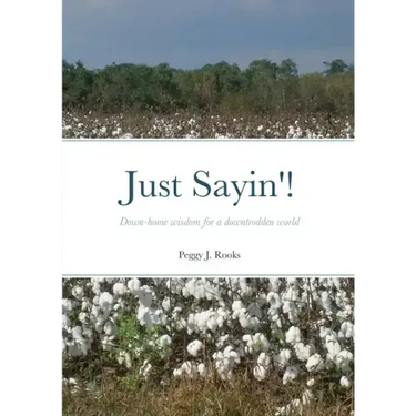 Just Sayin'!: Down-home wisdom for a downtrodden world