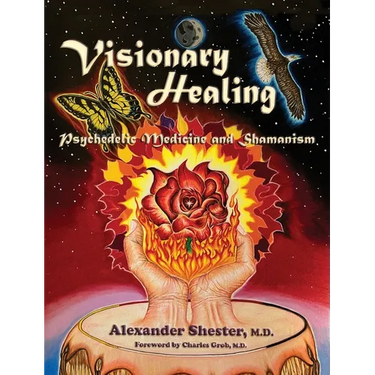 VISIONARY HEALING Psychedelic Medicine and Shamanism