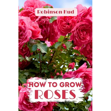How to Grow Roses: Easy guide to planning, planting and growing a rose flower