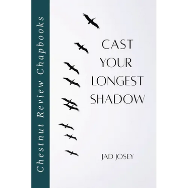 Cast Your Longest Shadow