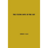 The Flying Boys in the Sky: Volume One
