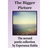 The Bigger Picture: the second poetic collection