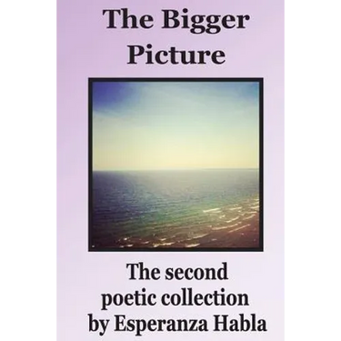 The Bigger Picture: the second poetic collection