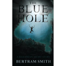 The Blue Hole: A Bahamian Short Story