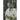Emperor of Enzymes