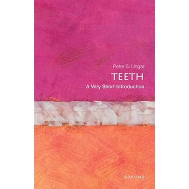 Teeth: A Very Short Introduction