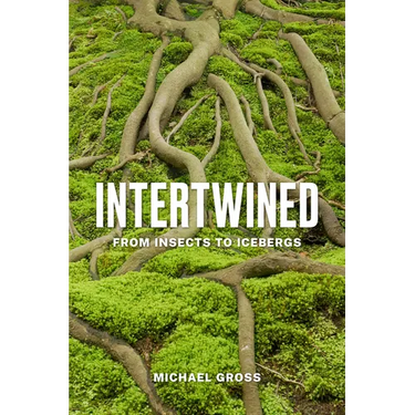 Intertwined: From Insects to Icebergs