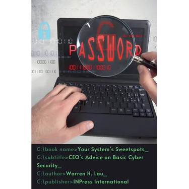 Your System's Sweetspots: CEO's Advice on Basic Cyber Security