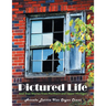 Pictured Life: And True Stories from Northern and Upper Michigan