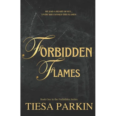 Forbidden Flames: A brother's best friend billionaire romance