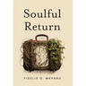 Soulful Return