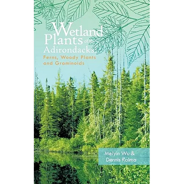 Wetland Plants of the Adirondacks: Ferns, Woody Plants, and Graminoids
