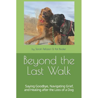 Beyond the Last Walk: Saying Goodbye, Navigating Grief, and Healing after the Loss of a Dog