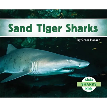 Sand Tiger Sharks