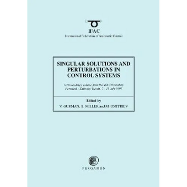 Singular Solutions and Perturbations in Control Systems