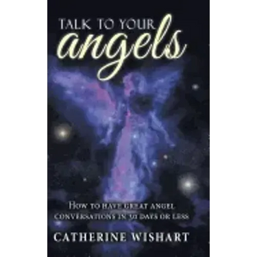 Talk to your angels: How to have great angel conversations in 30 days or less