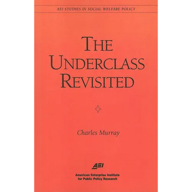 The Underclass Revisited