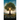 Be Accepted in Thy Sight: The Key to Abundant Living