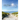 Choosewisely a Daily Devotional