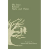 The Space Between Spark and Flame