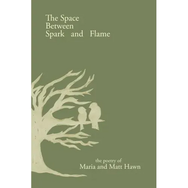 The Space Between Spark and Flame
