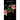 Riot of Roses