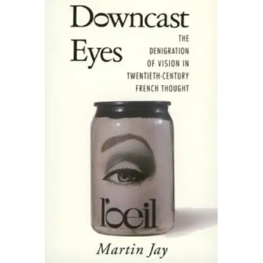 Downcast Eyes: The Denigration of Vision in Twentieth-Century French Thought
