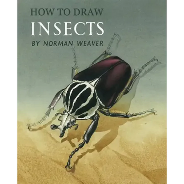 How to Draw Insects (Facsimile Reprint)