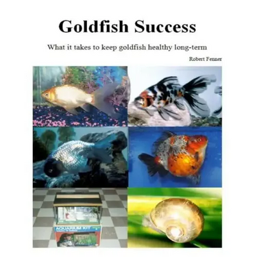 Goldfish Success: What it takes to keep goldfish healthy long-term