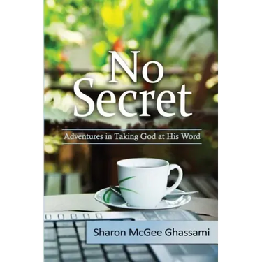 No Secret: Adventures in Taking God at His Word