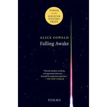 Falling Awake: Poems