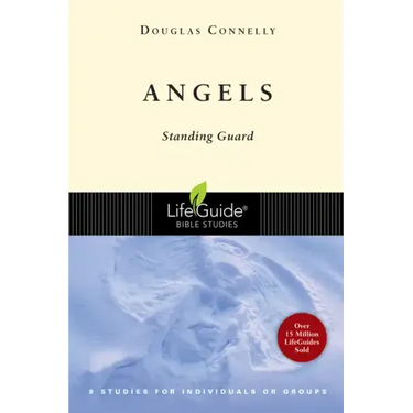 Angels: Standing Guard