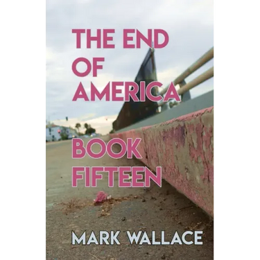 The End of America, Book Fifteen